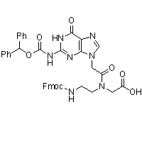 PNA-Guanine monomer